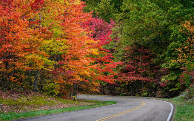 Обои картинки фото природа, дороги, шоссе, поворот, осень