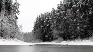 Картинка природа реки озера пруд зима лес снег сосны