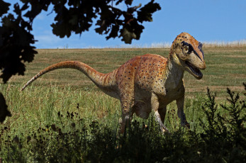 Картинка разное рельефы статуи музейные экспонаты трава динозавр