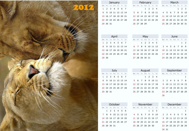 Обои картинки фото календари, животные, львица, лев, чувства