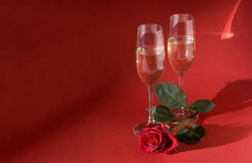 обоя еда, напитки, вино, цветок, шампанское, роза