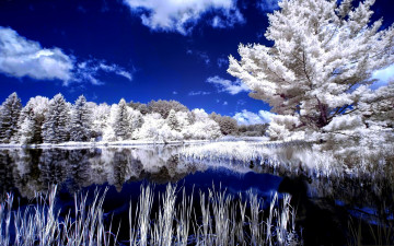 Картинка природа реки озера отражение деревья зима