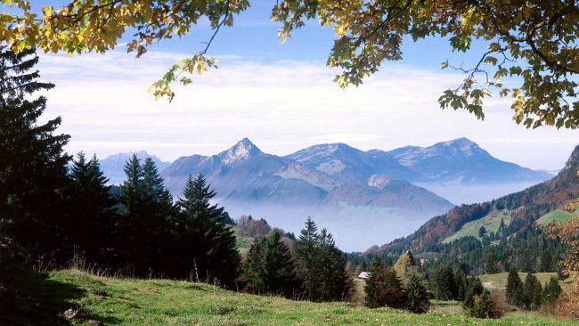 Обои картинки фото природа, горы, осень, туман, деревья