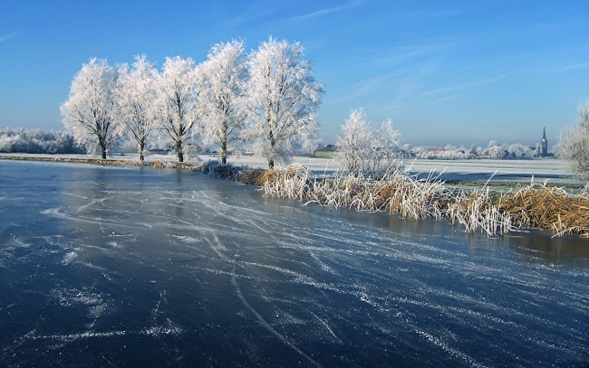 Обои картинки фото природа, зима, трава, деревья, лед, река