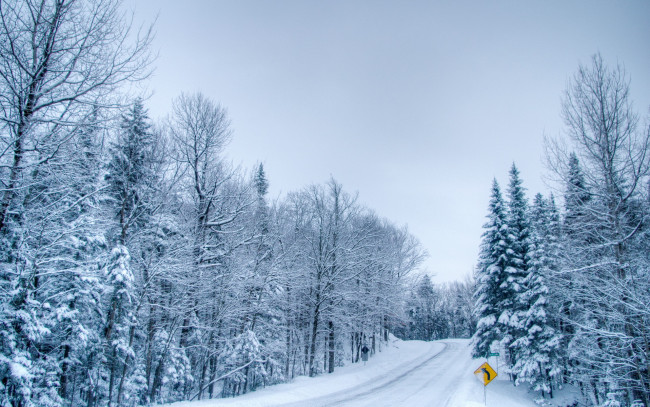 Обои картинки фото природа, зима, знак, лес, дорога