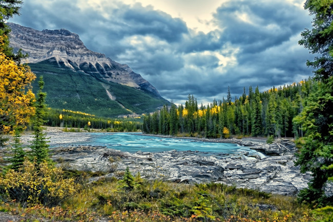 Обои картинки фото athabasca, river, jasper, national, park, alberta, canada, природа, реки, озера, горы, река, атабаска, канада, деревья, лес, пейзаж