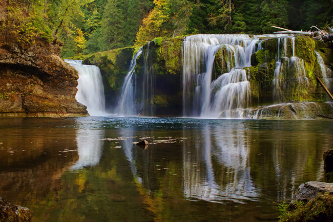 Обои картинки фото lower, lewis, river, falls, washington, природа, водопады, лес, каскад, осень, река