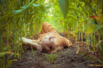Картинка девушки -unsort+ рыжеволосые+и+другие+цвета поле девушка стебли кукуруза