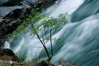 Картинка природа реки озера река псебай деревья вода