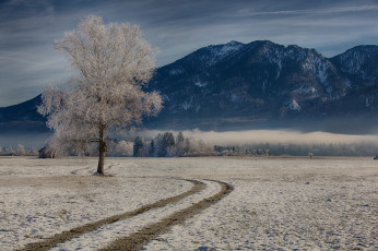 Картинка bavaria +germany природа зима горы дерево германия germany бавария