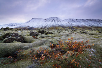 Картинка природа горы холмы равнина трава кустарник