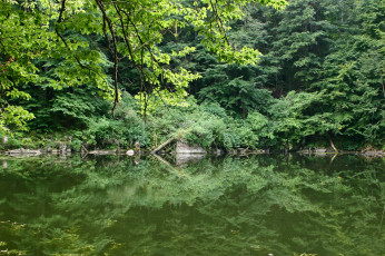 Картинка природа реки озера река деревья