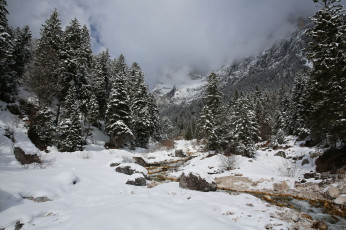 Картинка природа зима горы лес ручей снег туман