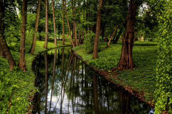 Картинка природа парк варшава польша пруд трава деревья