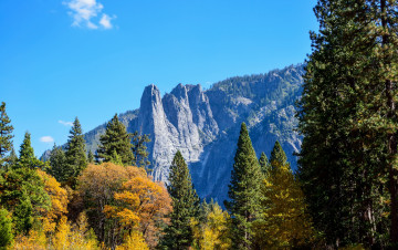 Картинка yosemite+national+park+california природа горы лес парк national park yosemite