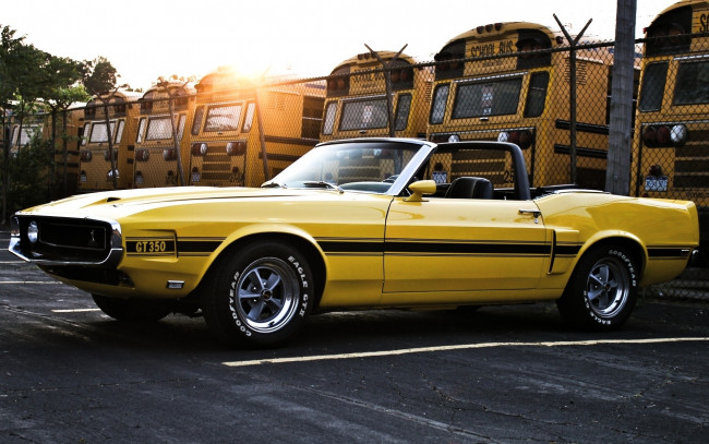 Обои картинки фото автомобили, mustang, yellow