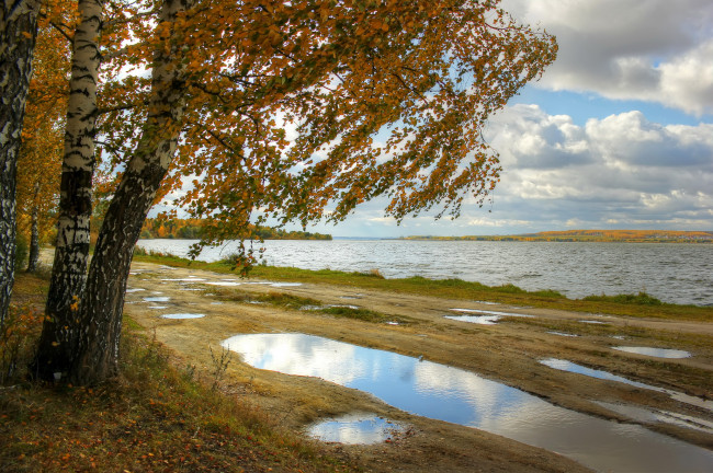 Обои картинки фото природа, реки, озера, россия, дерево, осень