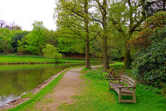 Обои картинки фото англия   charwell garden, природа, парк, англия, деревья, река, скамейка, трава