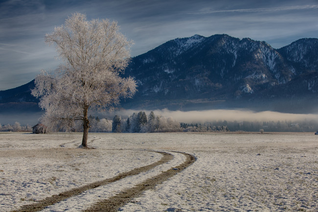 Обои картинки фото bavaria,  germany, природа, зима, горы, дерево, германия, germany, бавария