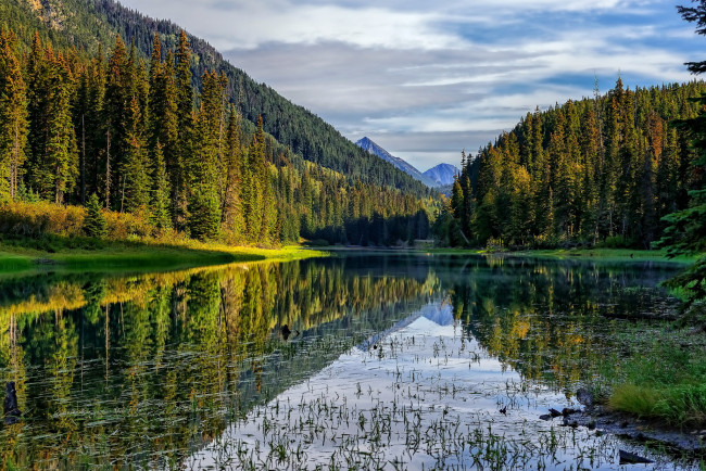 Обои картинки фото duffey lake provincial park,  british columbia,  canada, природа, реки, озера, лес, отражение, british, columbia, duffey, lake, озеро, канада, canada