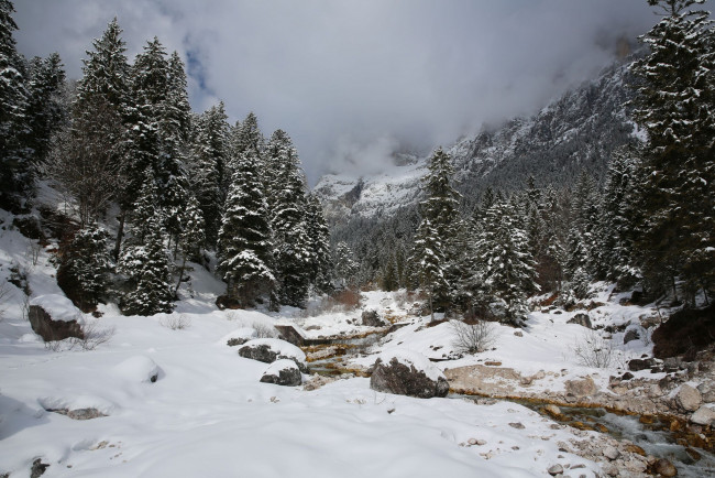 Обои картинки фото природа, зима, горы, лес, ручей, снег, туман