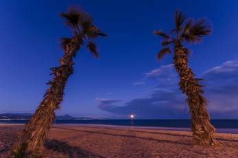 Картинка природа тропики пляж пальмы сумерки