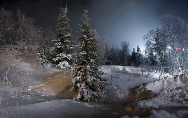 Обои картинки фото природа, зима, снег, сугробы, деревья