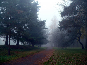 Картинка природа дороги туман осень