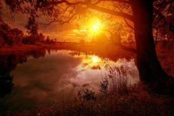 Картинка природа восходы закаты солнце деревья пруд озеро закат расвет