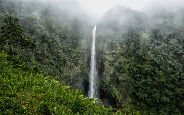 Картинка природа водопады туман скалы джунгли водопад