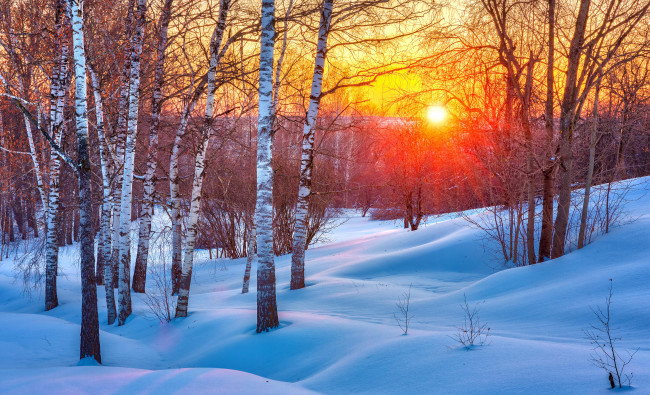 Обои картинки фото природа, зима, закат, берёзы, солнце, сугробы, снег, пейзаж