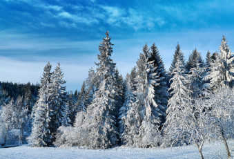 Картинка природа зима простор