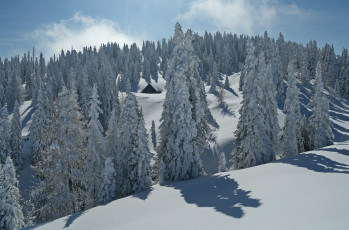 Картинка природа зима домик ели деревья снега холмы пейзаж