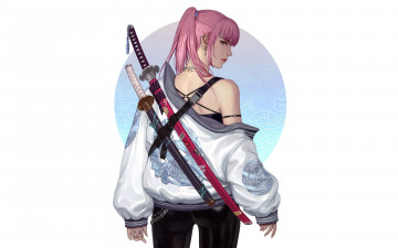Картинка аниме оружие +техника +технологии девушка мечи куртка