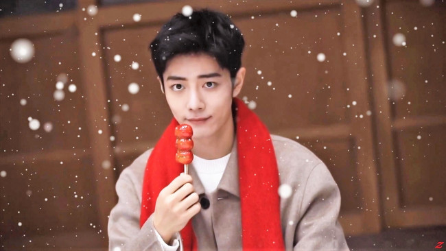Обои картинки фото мужчины, xiao zhan, лицо, шарф, пальто, снег, конфета