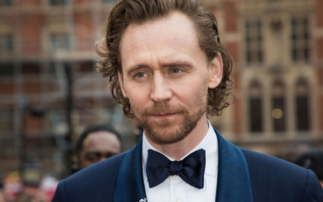 Обои картинки фото мужчины, tom hiddleston, актер, лицо, борода, костюм
