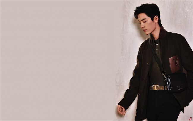 Обои картинки фото мужчины, xiao zhan, актер, пальто, сумка