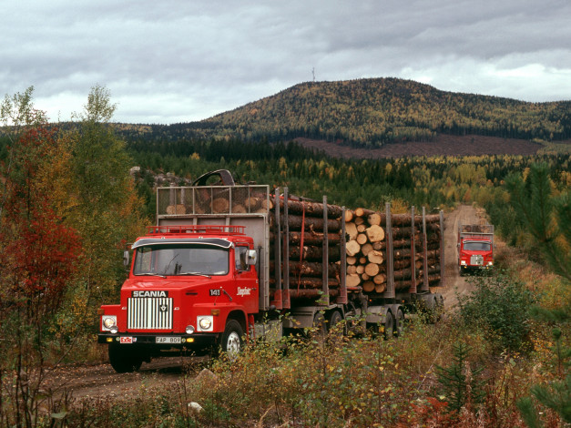 Обои картинки фото 1979, scania, ls141, 6x2, автомобили