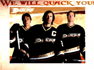 обоя duck, спорт, nhl