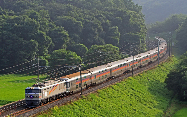 Обои картинки фото техника, поезда, лес, поезд