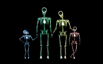 обоя разное, кости,  рентген, семья, рентген, скелеты