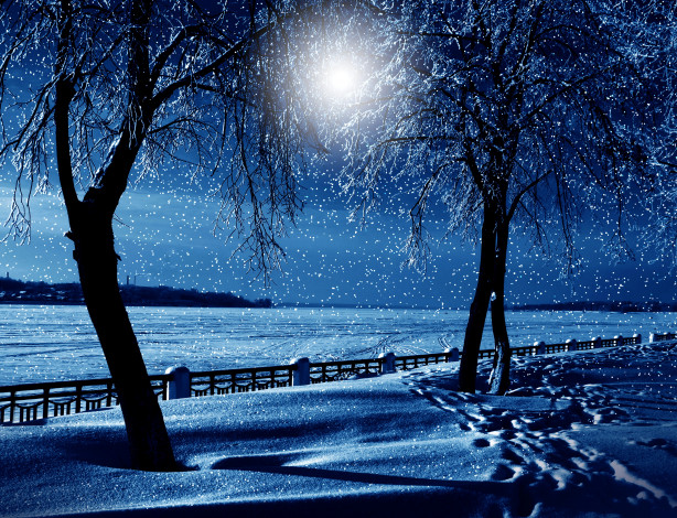 Обои картинки фото природа, зима, луна, забор, деревья, снег