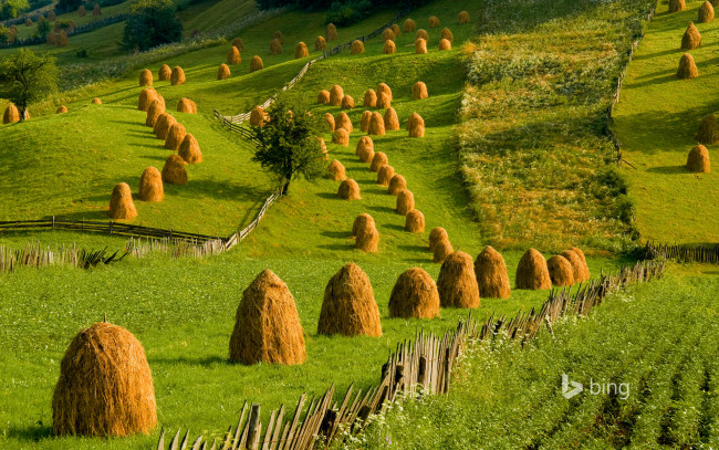 Обои картинки фото природа, луга, буковына, стог, копна, трава, румыния, холмы