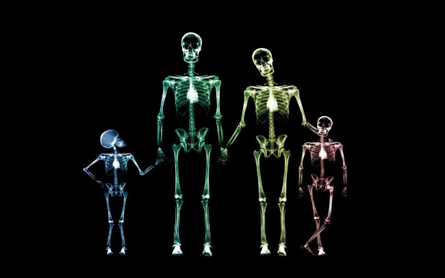 Обои картинки фото разное, кости,  рентген, семья, рентген, скелеты