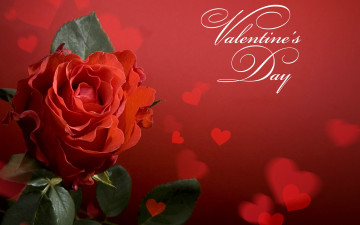 обоя праздничные, день святого валентина,  сердечки,  любовь, valentines, day, roses, heart, роза, сердце