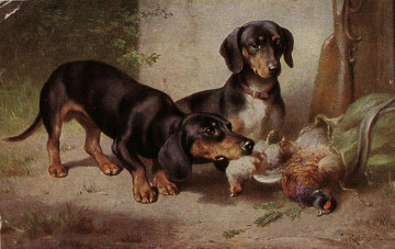 Картинка рисованное животные +собаки собаки таксы добыча фазаны птицы дичь