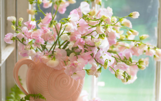 Обои картинки фото цветы, душистый горошек, розовые, окно, кувшин, букет