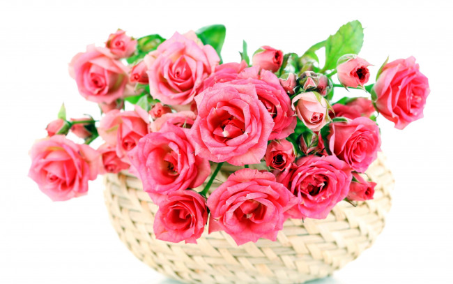 Обои картинки фото цветы, розы, корзинка, розовый