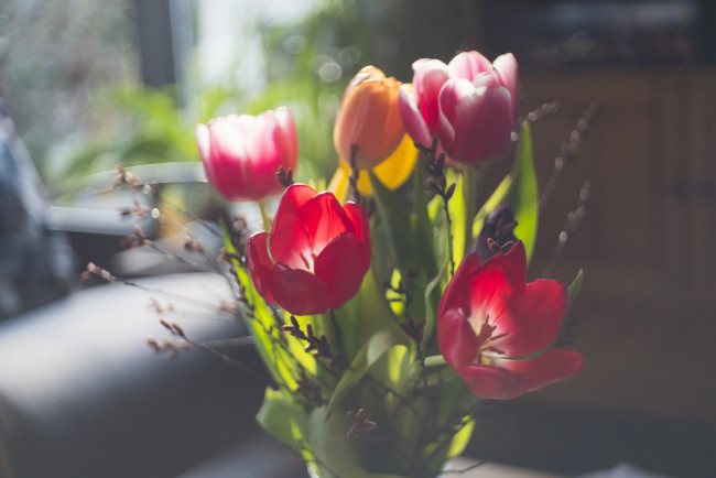 Обои картинки фото цветы, тюльпаны, фон, букет