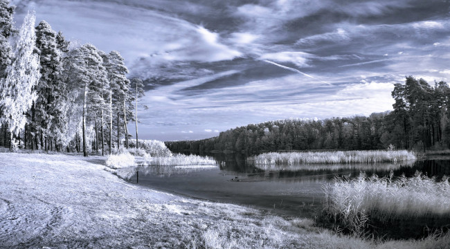 Обои картинки фото природа, зима, лес, озеро, иней